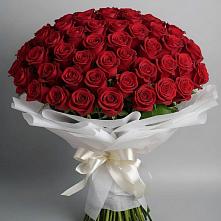 Букет 101 Красная роза Блэк Мэджик в Осе