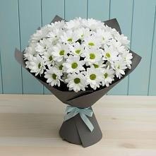 Букет цветов из:  Хризантемы #REPLACE_PRED# Осе
