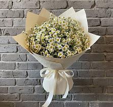 Букет цветов из:  Ромашки #REPLACE_PRED# Осе