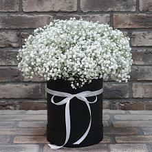 Цветочная композиция из Гипсофила в шляпной коробке в Осе
